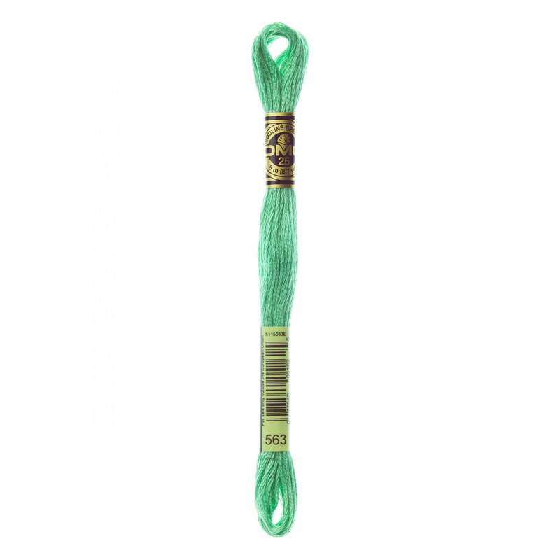 Close up image of DMC 563 Light Jade embroidery floss in its packaging