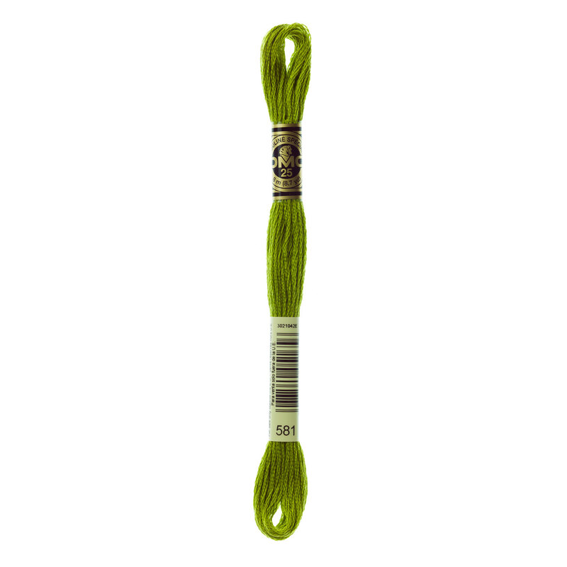 Close up image of DMC 581 Moss Green embroidery floss in its packaging
