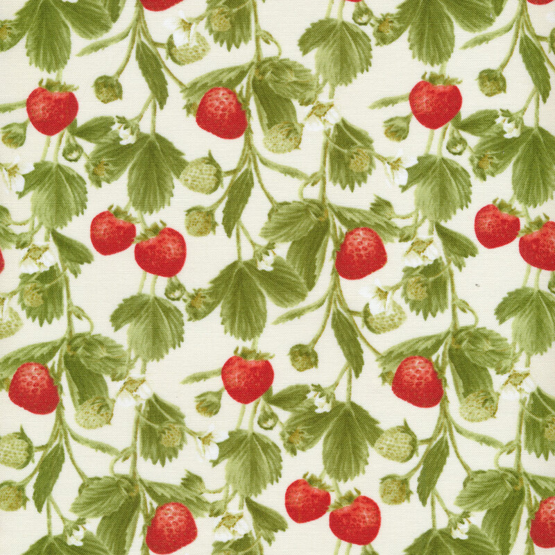 Strawberry Garden 500-86 Multi by Jane Shasky for Henry Glass Fabrics ...