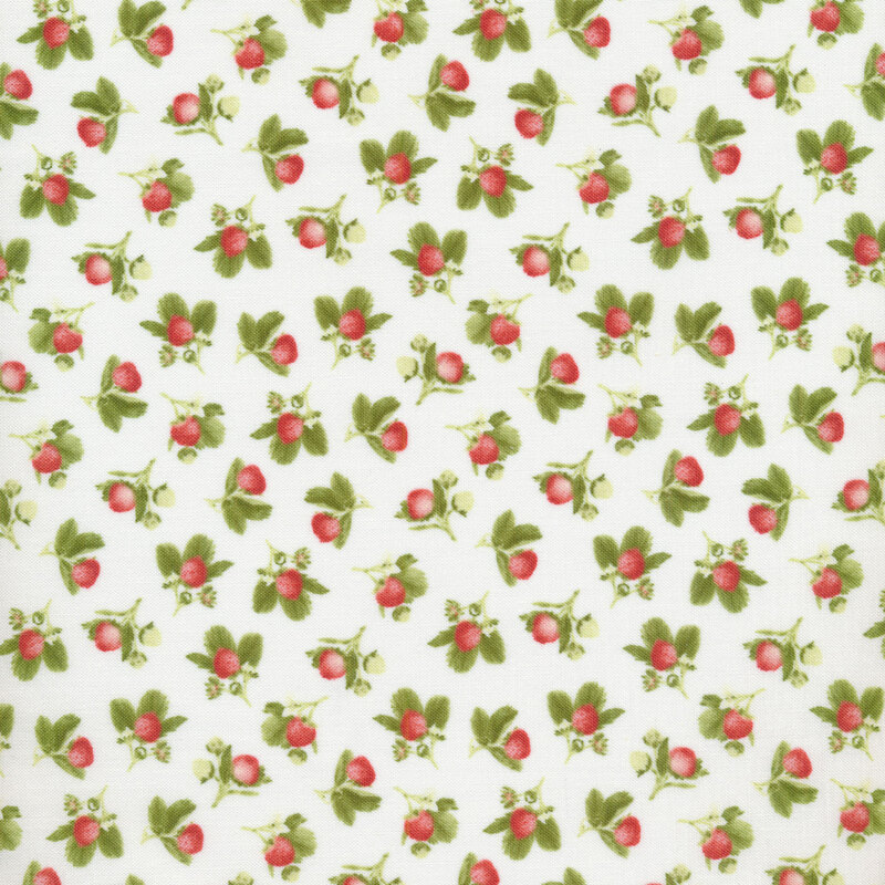 Strawberry Garden 507-86 Multi by Jane Shasky for Henry Glass Fabrics ...