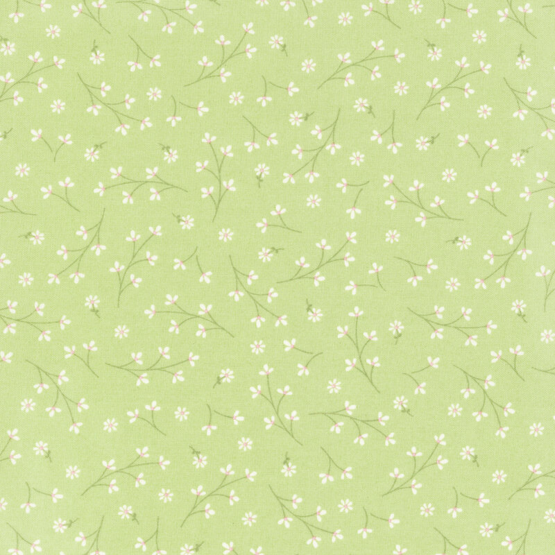 light green fabric featuring a ditsy pattern of long stemmed white flowers