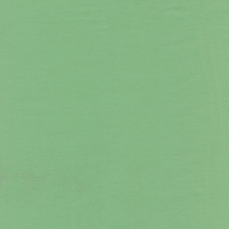 solid mint green background