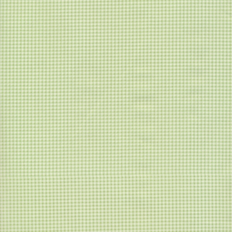 fabric with light green and white gingham print