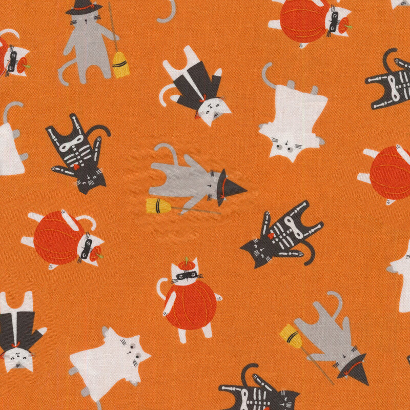 Orange fabric with cartoon cats all over in different costumes of classic Halloween monsters: Vampire, Ghost, Witch, Skeleton, Pumpkin, etc.