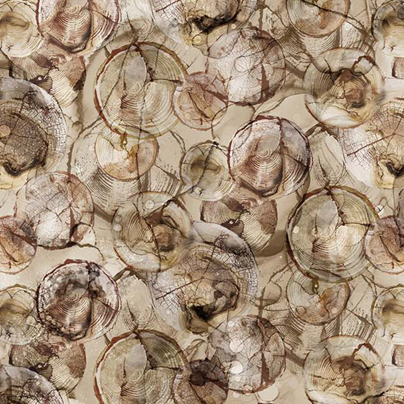 Northern Peaks DP2517034 by Northcott Fabrics Shabby Fabrics