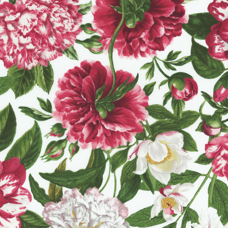 fabric with white and pink blooms with green leaves on a white background