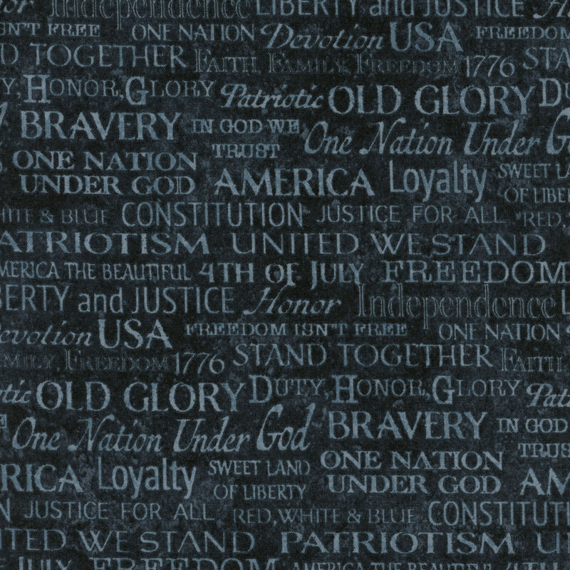 A navy blue tonal fabric with light blue patriotic phrases all over