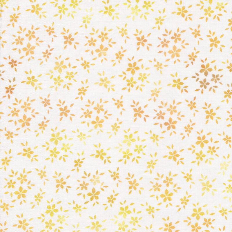 clusters of orange and yellow flowers on a white background