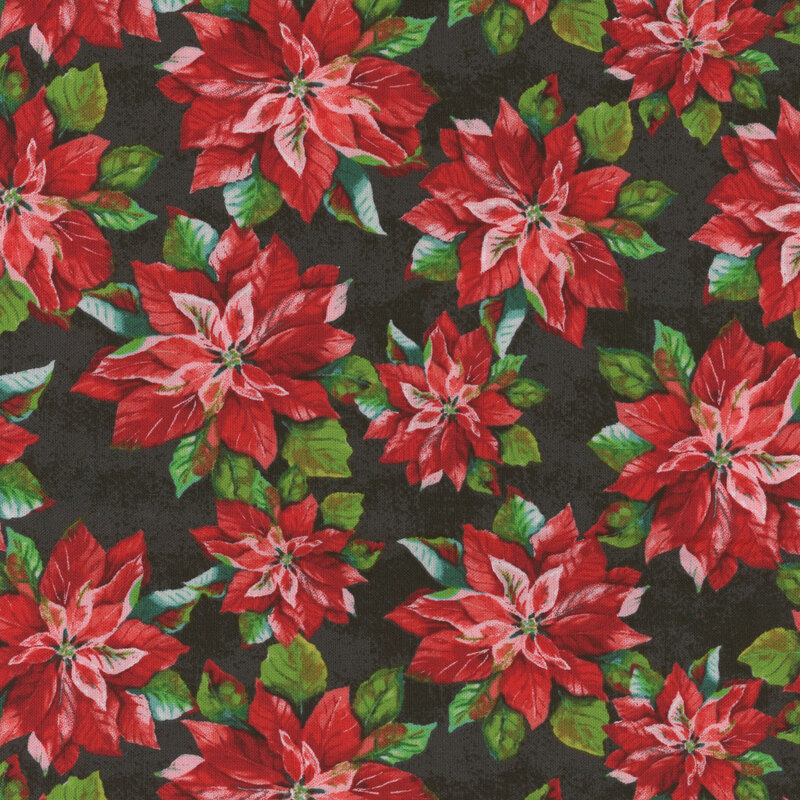 Fabric featuring poinsettias on a black background