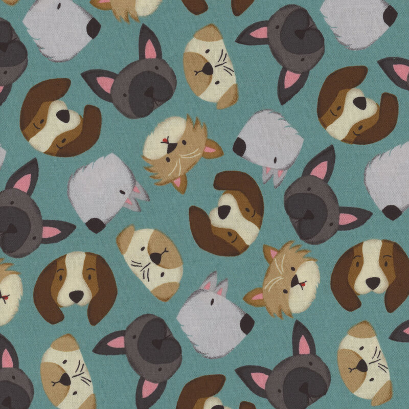 Teal fabric with cartoon dog heads of different breeds tossed all over