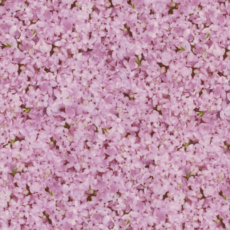 Scan of fabric featuring small pink flowers across its entirety