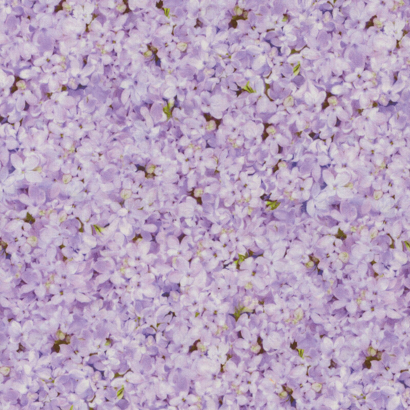 Scan of fabric featuring small light purple flowers across its entirety