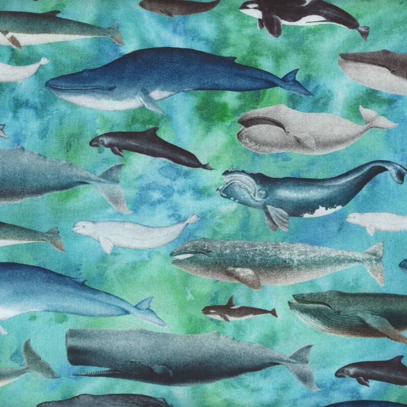 A mottled aqua fabric with a variety of whales all over