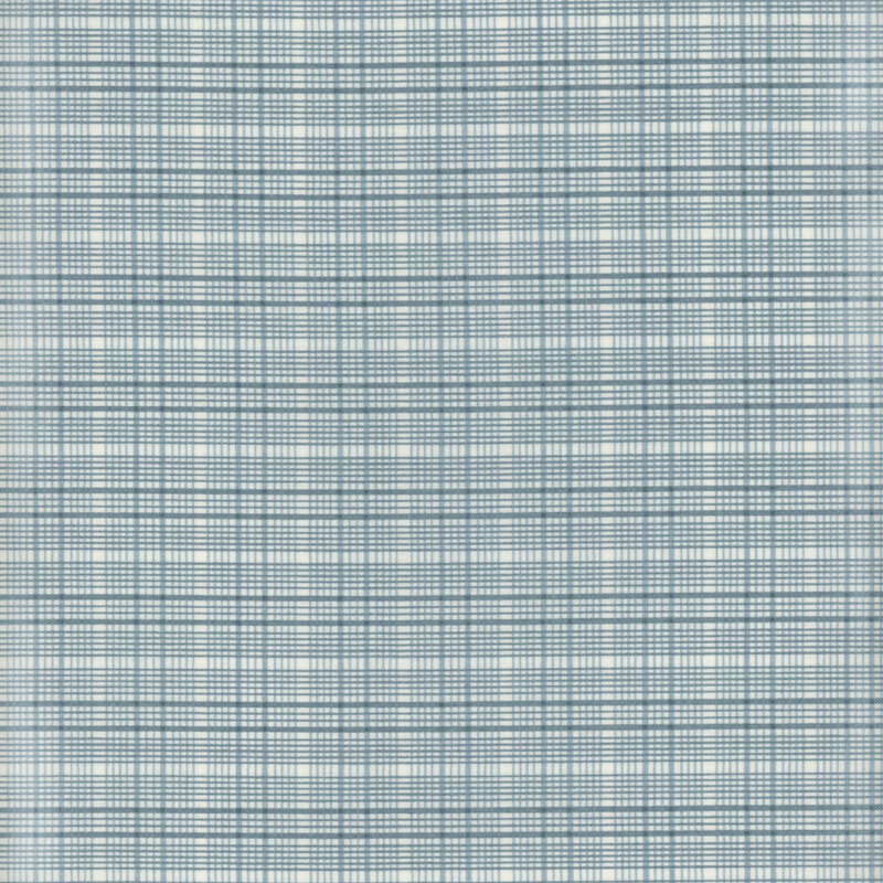 Fabric with a lovely light blue and cream plaid print.