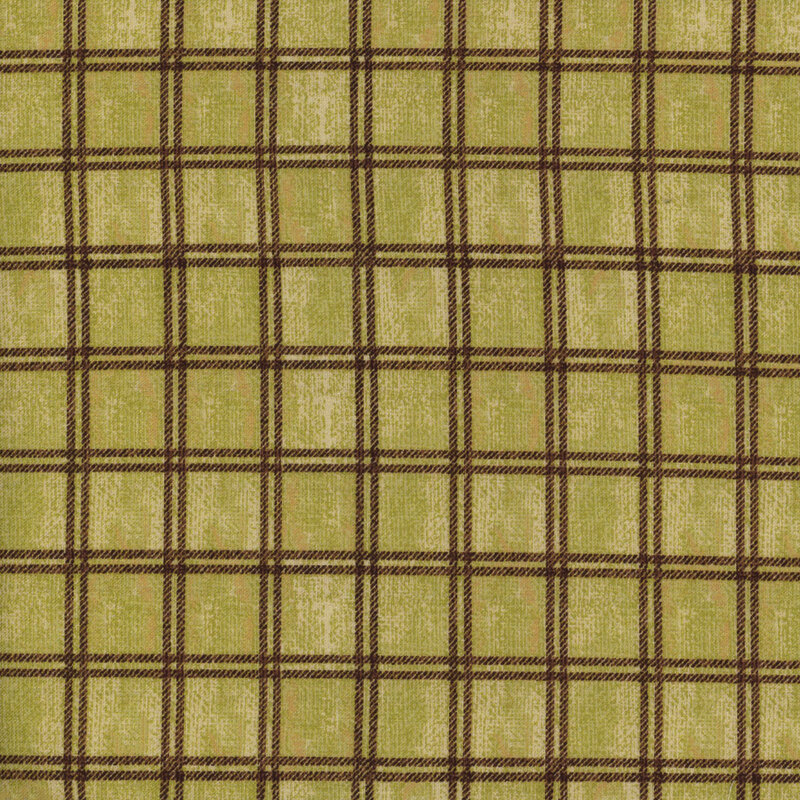 Light Green mottled fabric with black plaid lines