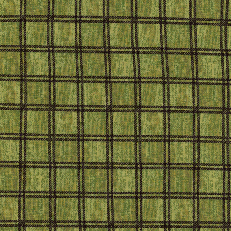 Green mottled fabric with black plaid lines