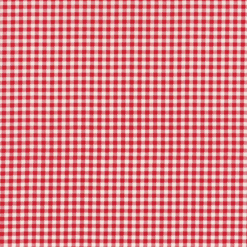 red gingham fabric featuring diagonally dashed connecting squares