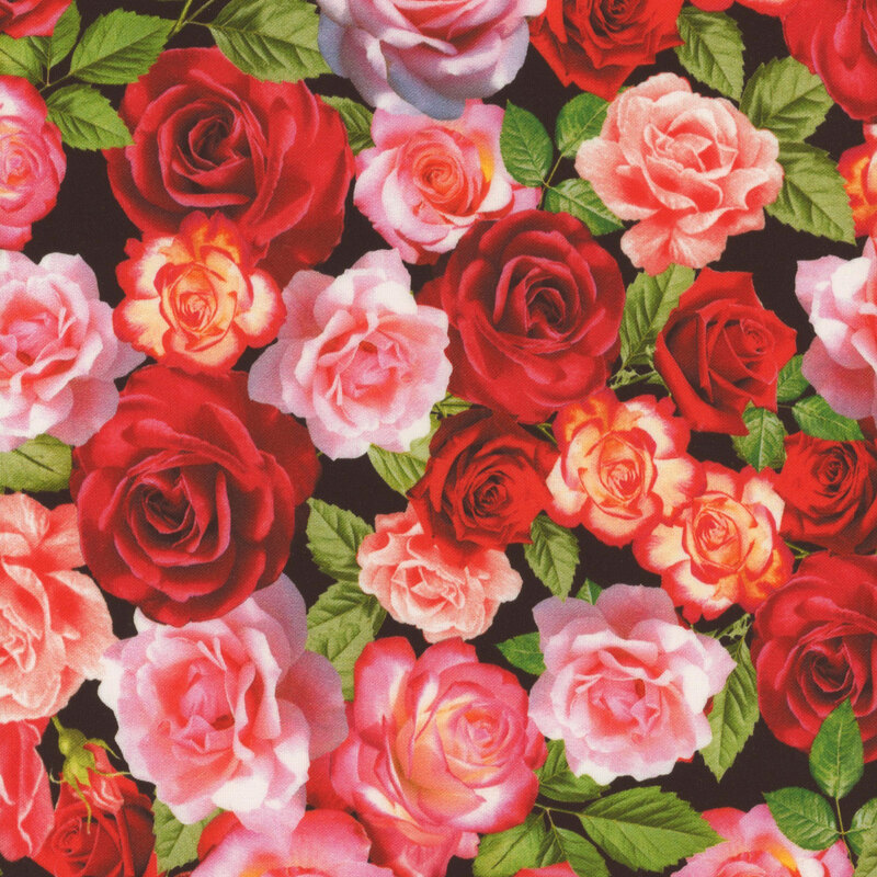 black background fabric featuring layers of pink and red roses