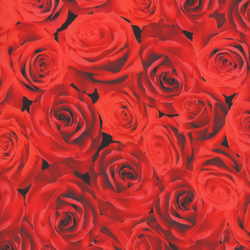 black background fabric featuring layers of red roses