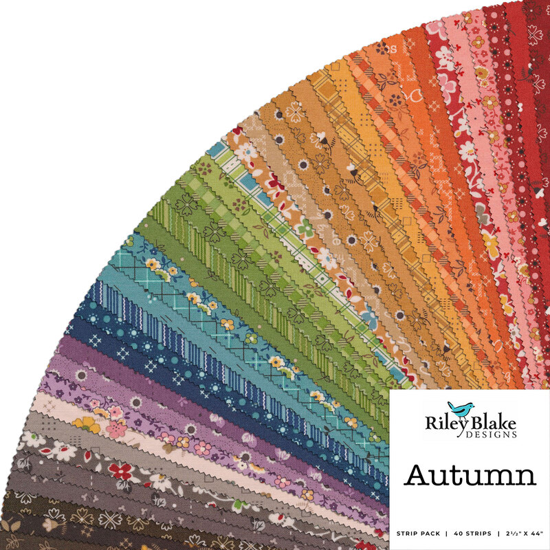 Graphic of all fabrics in the Autumn collection Rolie Polie, in a rainbow of colors