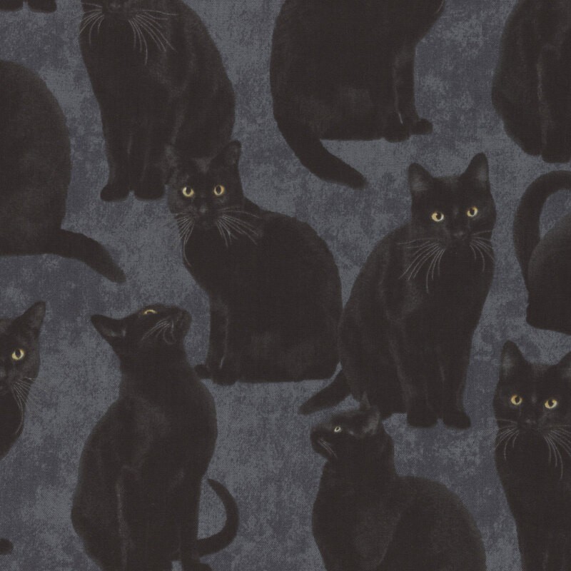 dark gray mottled fabric featuring scattered black cats with golden eyes