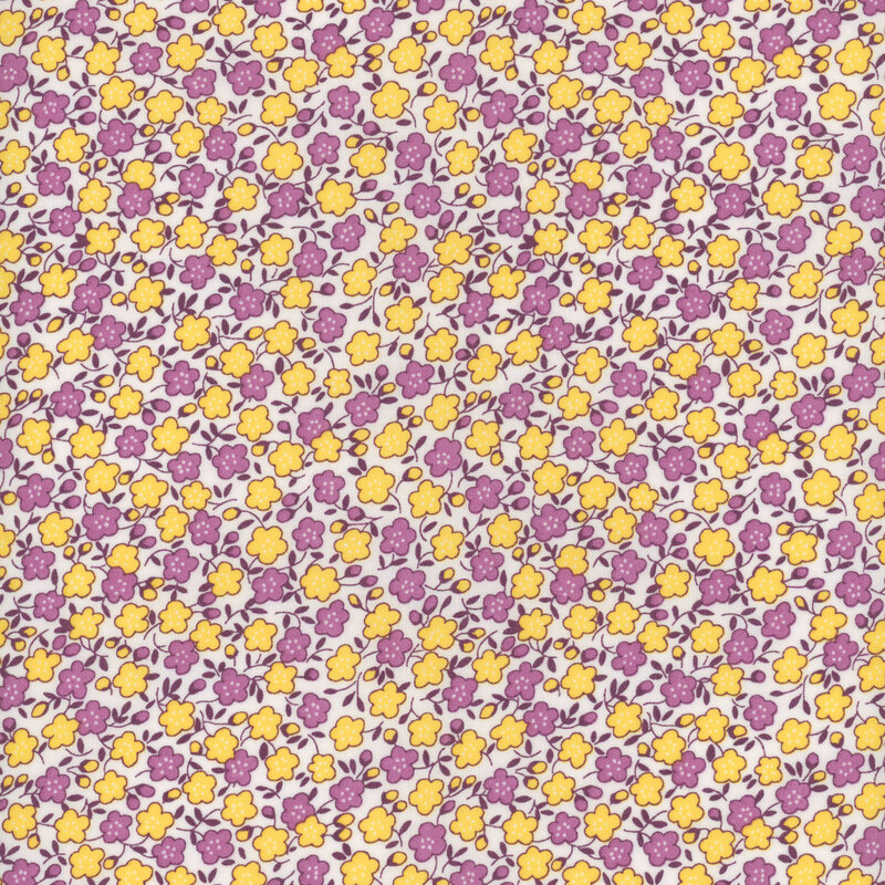 True purple and yellow flowers tossed on a white background, with deep purple leaves and vines twisting about!