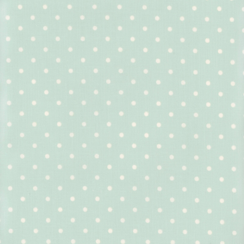 cream polka dots on a pale aqua fabric