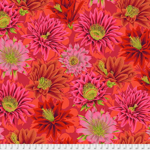 Fabric featuring vibrant pink, orange, and red cactus blossoms over a bright crimson background