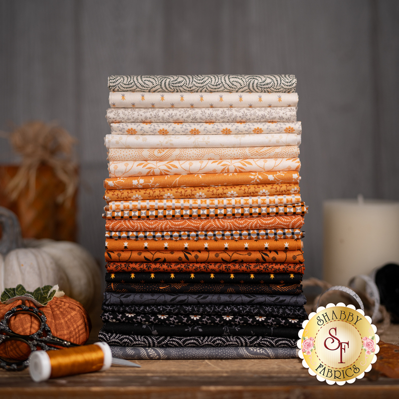 styled photography of the 24 SKUs in the Pumpkin Licorice collection, a vibrant wash of orange and black and cream