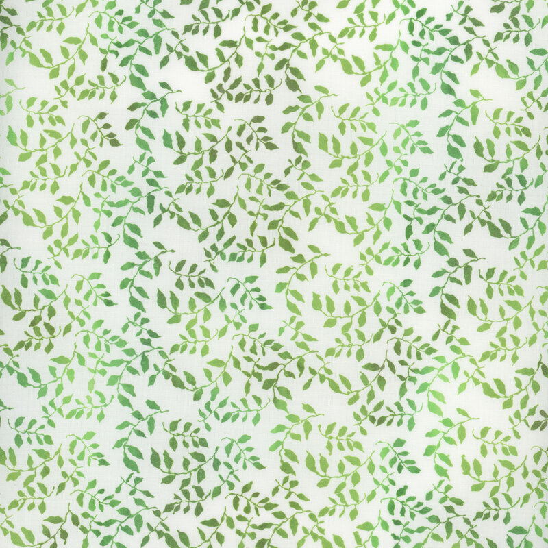 Varying green vines on a white background.