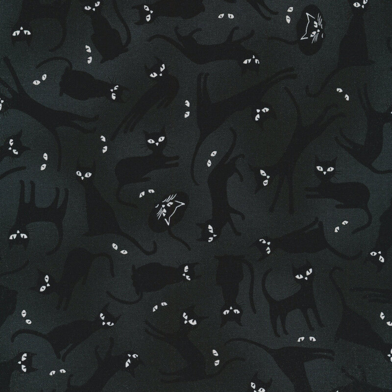 fabric featuring black cats and white cat eyes on a black background