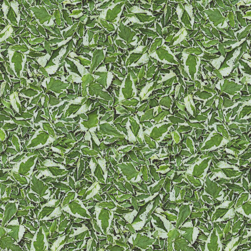 Photorealistic fabric with variegated green and white leaves.