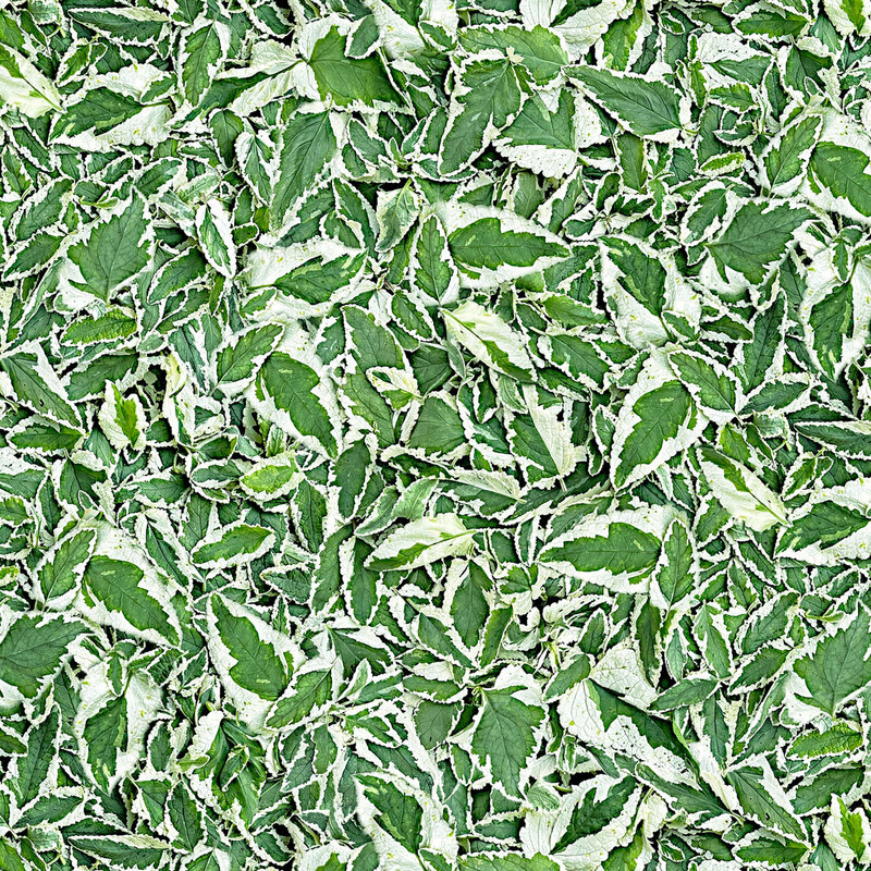Photorealistic fabric with variegated green and white leaves.