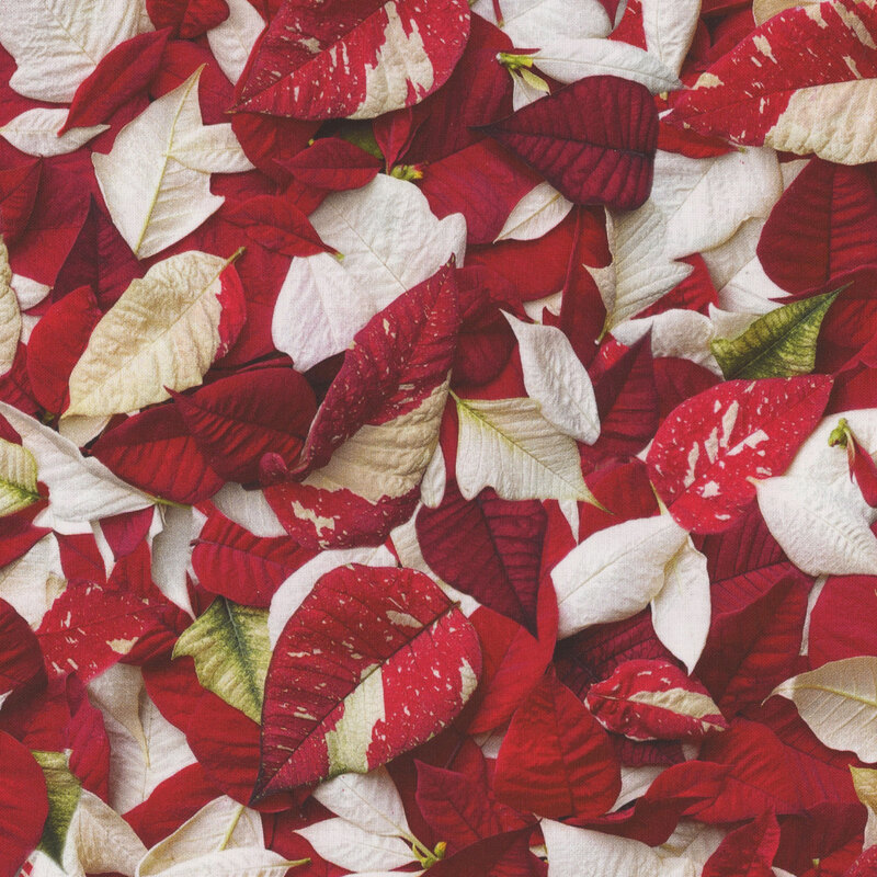 Photorealistic fabric with red and white variegated poinsettia leaves.