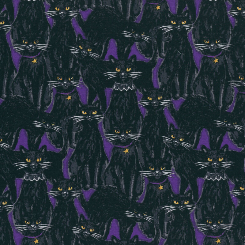 black cats on a purple background