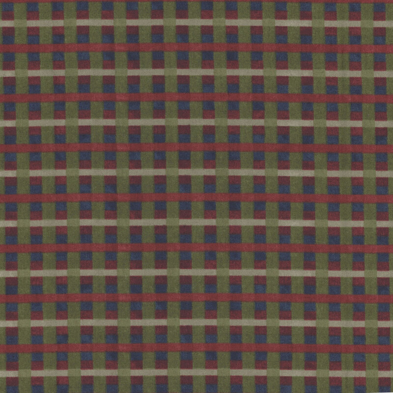 dark green, blue, and red plaid fabric