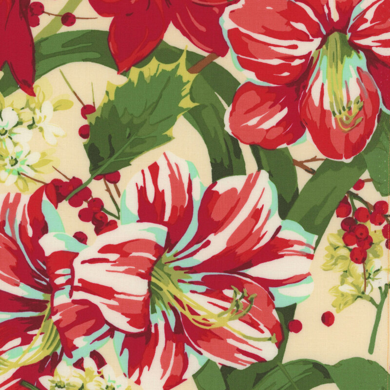 dark cream fabric featuring scattered holly berries and amaryllis flowers