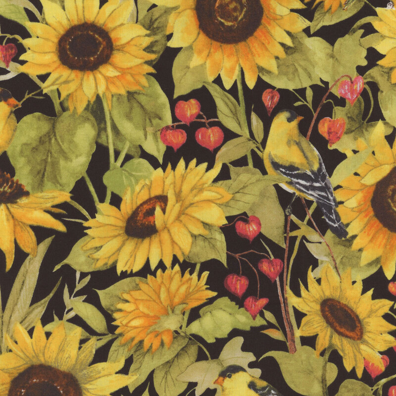 digital image of black fabric featuring packed together large watercolor sunflowers, lantern plants, and American Goldfinches