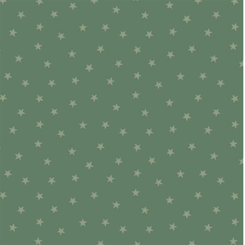 Sea green fabric with a pattern of tiny stars in a row