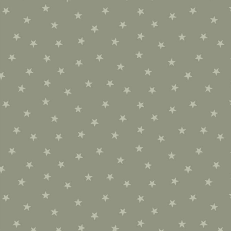 gray fabric with a pattern of tiny stars in a row