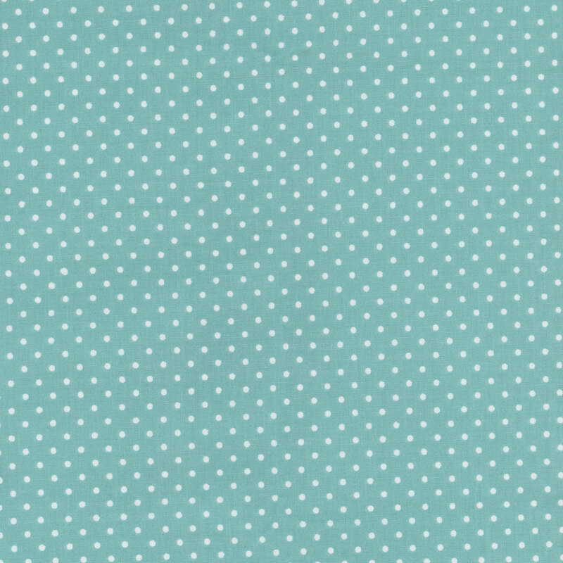 Robin's egg blue fabric with white polka dots.