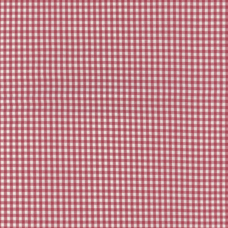 Red and white simple gingham fabric