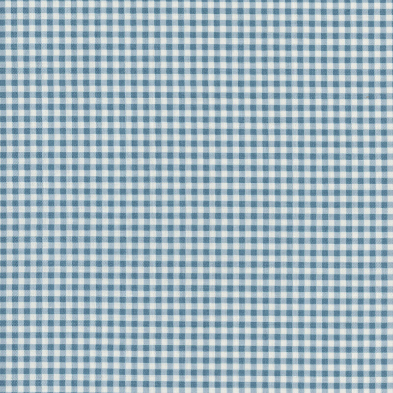 Light blue and cream gingham print fabric