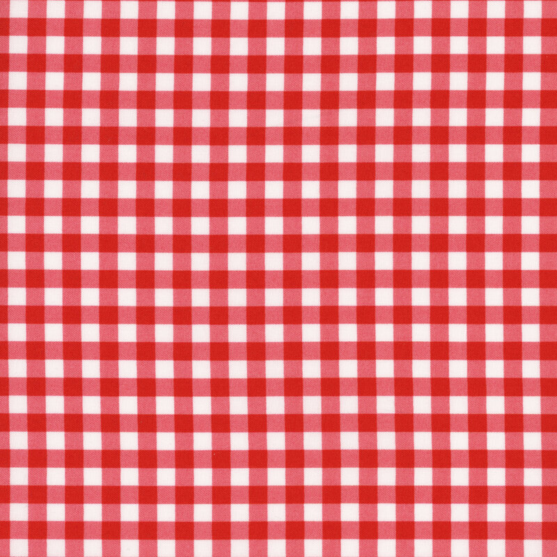 red and white gingham fabric
