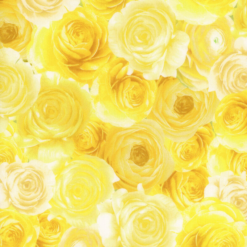 large yellow and cream roses packed together