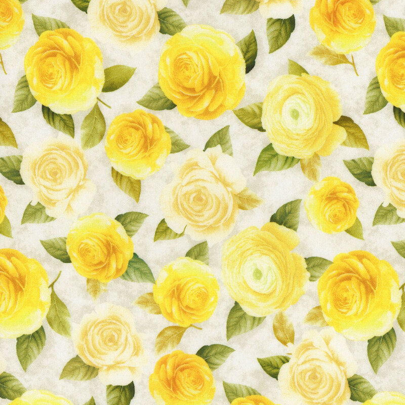 yellow and cream roses with small leaves spaced apart from each other on a cream background