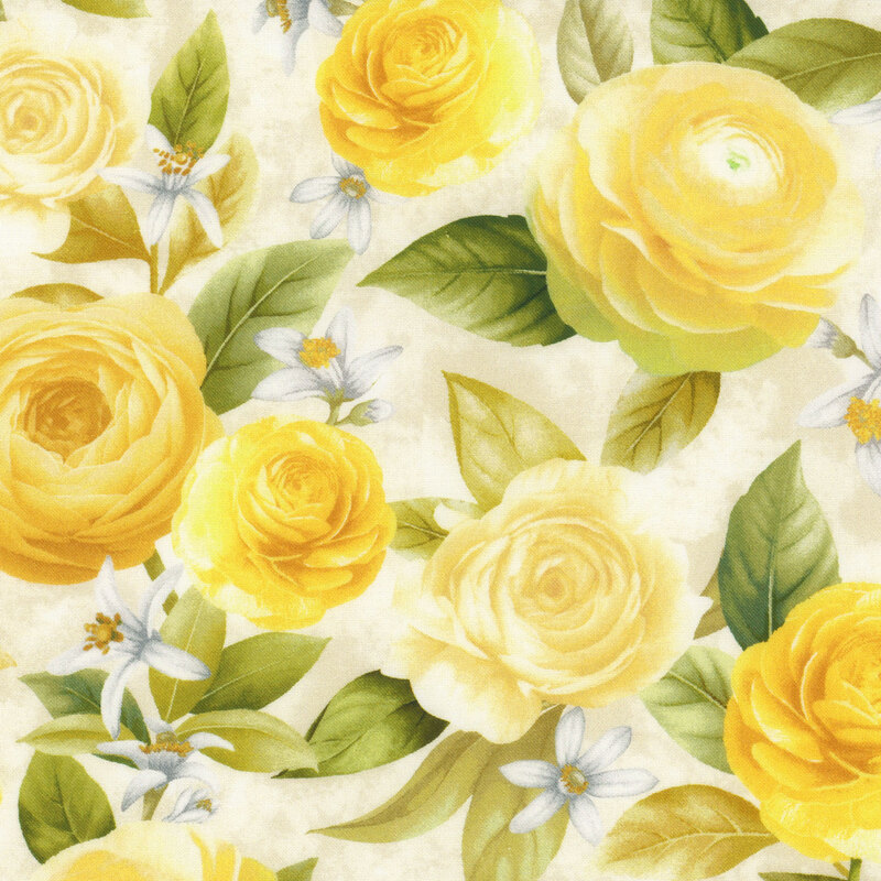 cream fabric with large yellow roses and white lemon blossoms