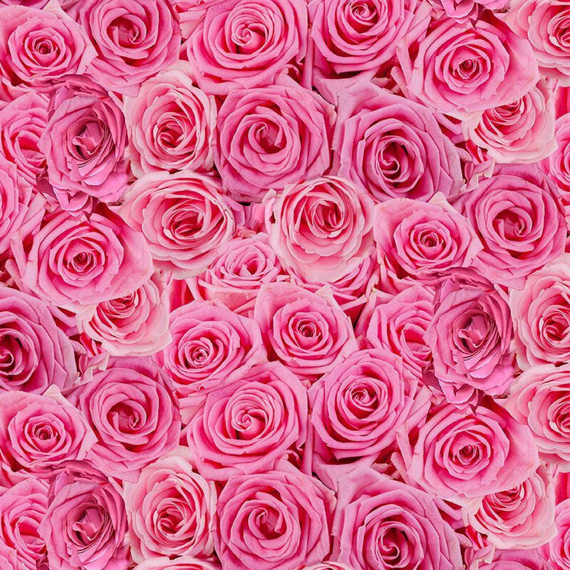 Pink rose pattern digital print