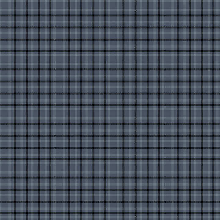 Blue plaid fabric with a light blue and black pattern 