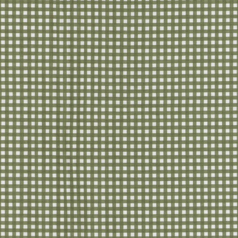 Dull green and white gingham fabric.